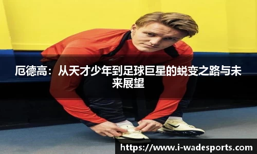 伟德体育