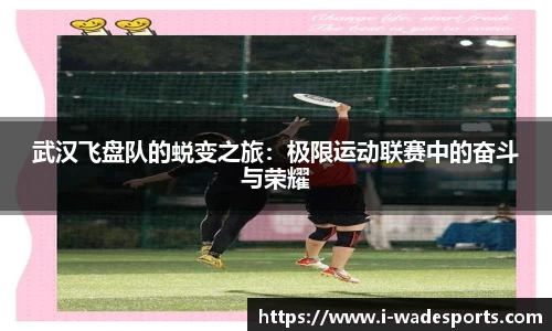 伟德体育平台